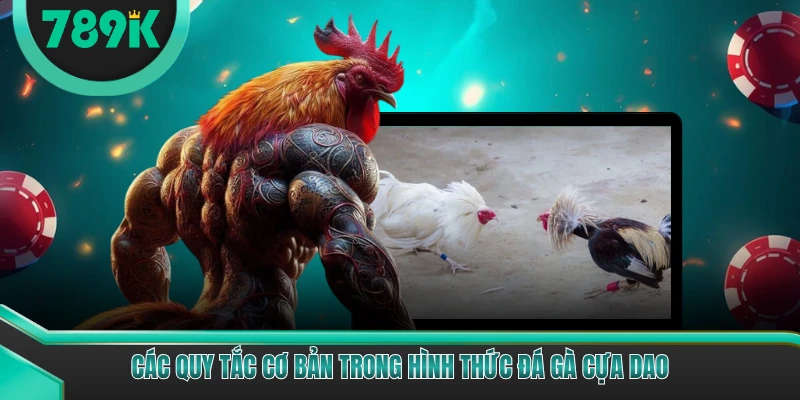 Các quy tắc cơ bản trong hình thức đá gà cựa dao