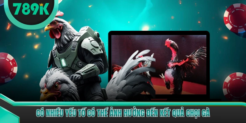 Có nhiều yếu tố có thể ảnh hưởng đến kết quả chọi gà