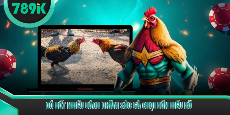 Có rất nhiều cách chăm sóc gà chọi cần hiểu rõ