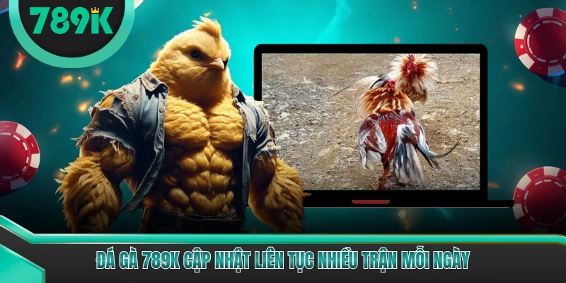 Đá gà 789K cập nhật liên tục nhiều trận mỗi ngày