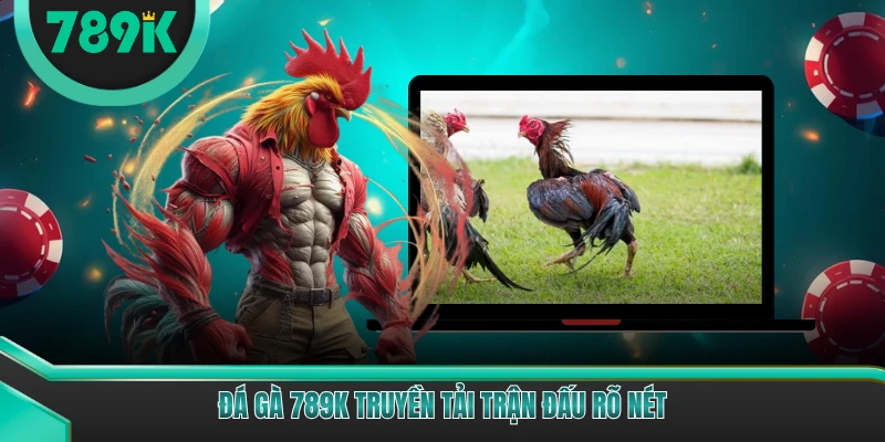 Đá gà 789K truyền tải trận đấu rõ nét