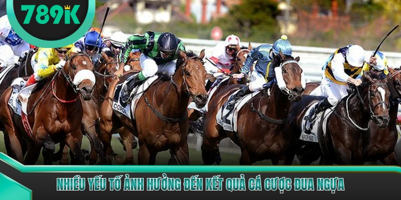 Nhiều yếu tố ảnh hưởng đến kết quả cá cược đua ngựa