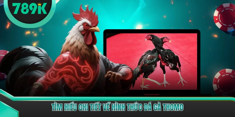 Tìm hiểu chi tiết về hình thức đá gà Thomo