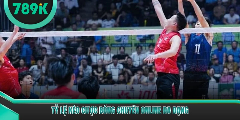 Tỷ lệ kèo cược bóng chuyền online đa dạng